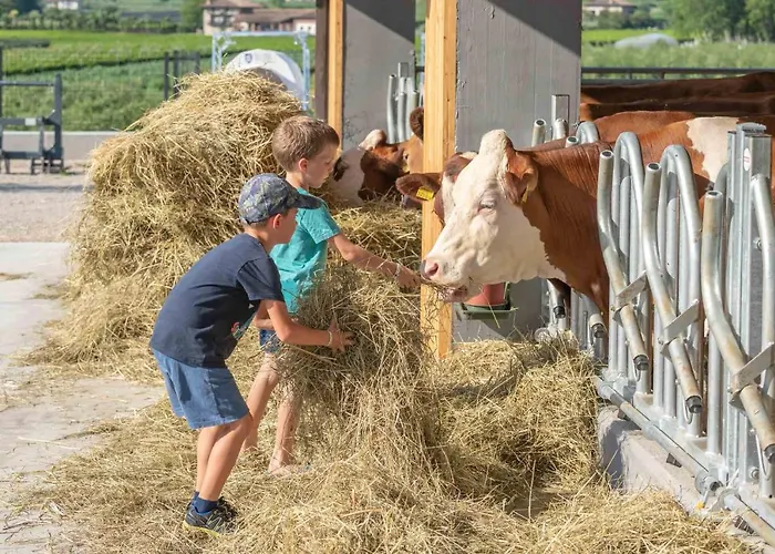 Camping Agrisalus