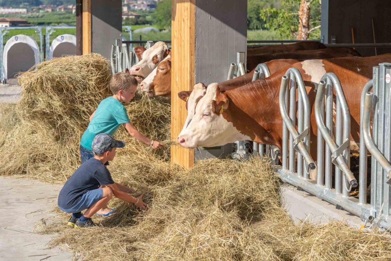 Agrisalus Campingplatz *